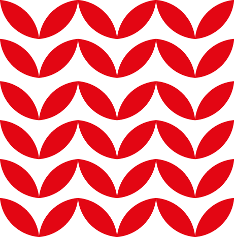 catalogo azafran